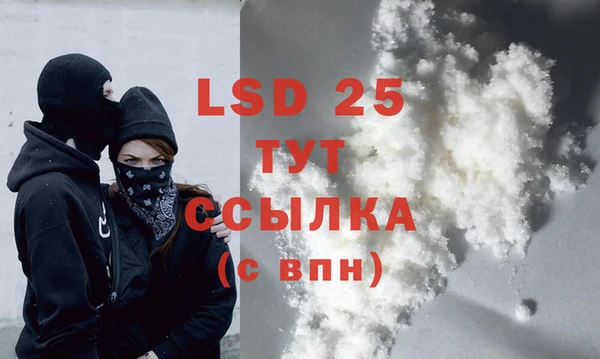 прущие грибы Дмитриев