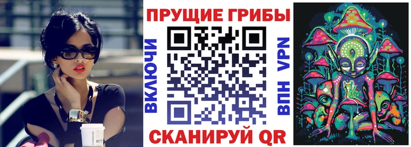 как найти закладки  Давлеканово  Псилоцибиновые грибы Cubensis 
